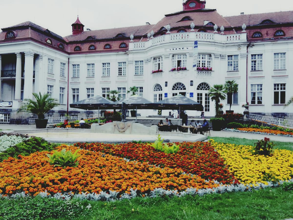 Apartment Alice Center Karlovy Vary Kültér fotó